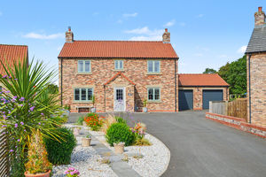 3 Field View- click for photo gallery